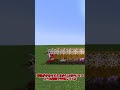 マイクラの中で一番遅い階段 #shorts #マイクラ #minecraft