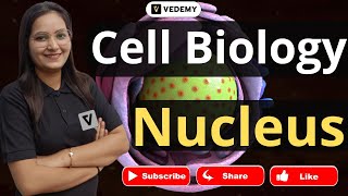Celebrity Nucleus | Cell Biology | Dr. Ravina Rai | CSIR | DBT | GATE | ICMR | JAM | ICAR | CUET | NEET | Net Worth