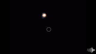 Simulation of the matter density in the first observed neutron star - black hole merger (GW200105)