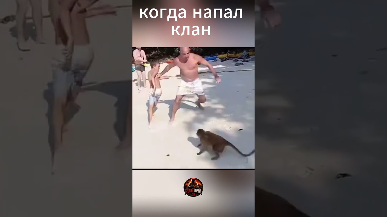 кланы они такие 🤣  #rust #раст #прикол #юмор