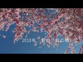 Shunn新曲「虹の橋」プロモーション動画