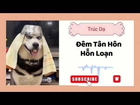 [ Full ] Đêm Tân Hôn Hỗn Loạn | Trúc Dạ - youtube