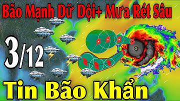 Bão Mạnh Dữ Dội Mưa Rét Sâu Tin Bão Khẩn | Dự báo thời tiết ngày 3/12 | thời tiết 15 ngày Tới