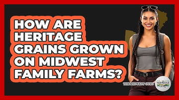How Are Heritage Grains Grown On Midwest Family Farms? - The Midwest Guru