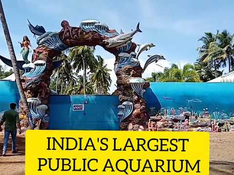 My fish feeding vlog||MARINE WORLD||india's largest aquarium in chavakkad panchavadi in Thrissur.