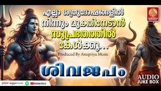 ദുഃഖങ്ങൾ കൈവെടിഞ്ഞ് മനസ്സ് ശാന്തമാകുവാൻ കേൾക്കേണ്ട ശിവഭക്തിഗാനങ്ങൾ |Shiva Devotional Songs Malayalam
