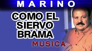 Marino - Como El Siervo Brama (musica) chords