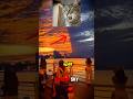 These 3 Sky Phenomena Will Terrify You… 🌌