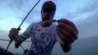 CORVINAS a SPINNING LIGERO en HUELVA
