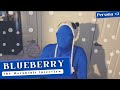 Meet blueberry