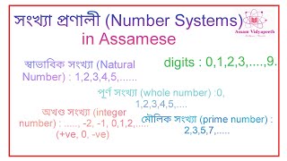 সংখ্যা প্ৰণালী (Number Systems) in Assamese | @Assam Vidyapeeth #assam #mathsinassamese || S.A.