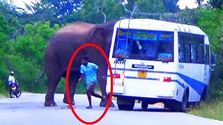 When the ferocious elephant attacks the bus, a passenger jumps and runs😮