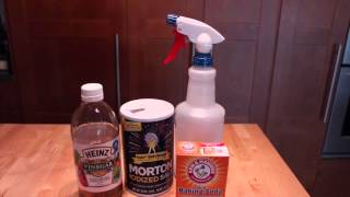 Homemade Flea & Tick Repellent for Pets