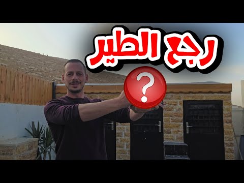 رجع طير ما توقعت يرجع واليوم موعدددد اسطوري
