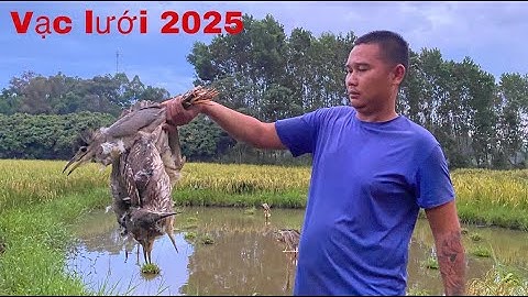 Sử dụng vạc mồi Xốp? Bẫy vạc thật