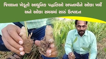 જિલ્લાના ખેડૂતો આધુનિક પદ્ધતિઓ અપનાવીને ઓછા ખર્ચે અને ઓછા સમયમાં સારું ઉત્પાદન મેળવી રહ્યા છે.