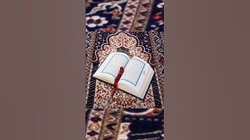 تلاوة تملأ القلب طمأنينة... من يثق بالله لن يُخذل أبدا 💖📖