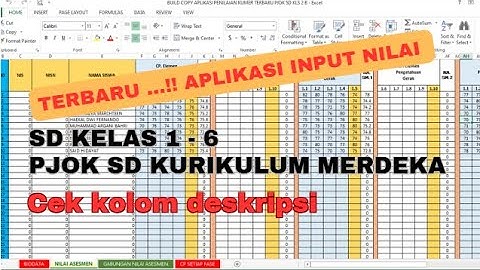 APLIKASI FORMAT PENILAIAN PJOK SD KURIKULUM MERDEKA || Kelas 1- 6 Berbasis MS.Excel TAHUN 2024-2025