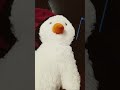 penguin first reaction to Jesus when he returned #jesus #funny