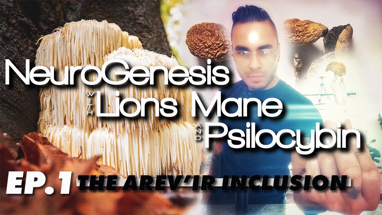 NeuroGenesis with Psilocybin and LION'S MANE! Ep.1 THE AREV'IR