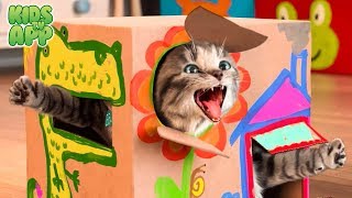 Little Kitten Pet Care - Fun Play & Learn Colors, Numbers & Shapes - Kids Cartoon Games screenshot 5