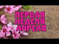 #69🌷: Первая вышивальная неделя апреля "20/четыре процесса/ Как я закрепляю нить/Семейные влоги/