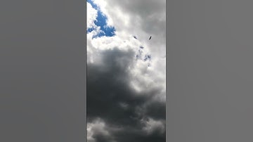 AI Created This in Seconds! 🤖💡 #ShortsMind-Blowing AI Tool You Need to Try! ⚡🤯 #AI #shorts