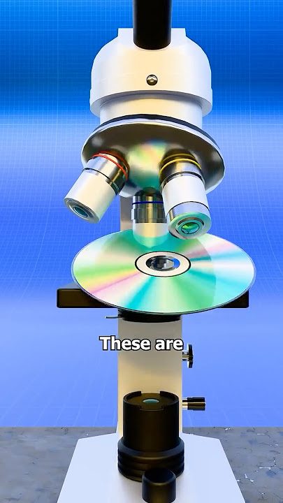 This Is How DVDs Work! 📀