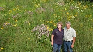 Pollinators Nrcs