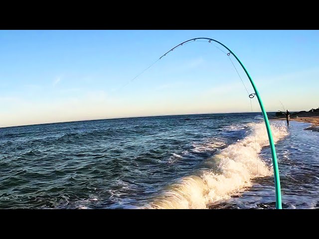 Hot Surf Fishing on a Cold Morning! 