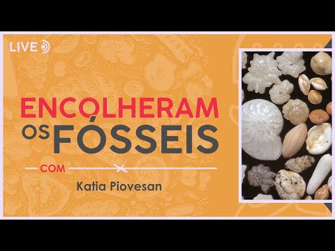 Vídeo: Quando os microfósseis foram encontrados?