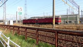 Rail ED75形700番台×2