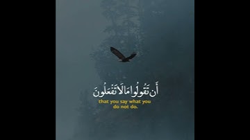 القارئ محمد اللحيدان ((سورة الصف))