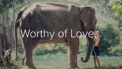 Prosperity Class - S.E.E. Course with Syntysche Groverland