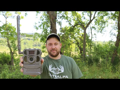 Tactacam Reveal X Trail Camera Review (With Photos)