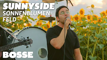 Bosse – Sunnyside (Sonnenblumenfeld)