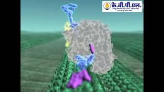 kbpl biochemical conversion of biomass to biofuels