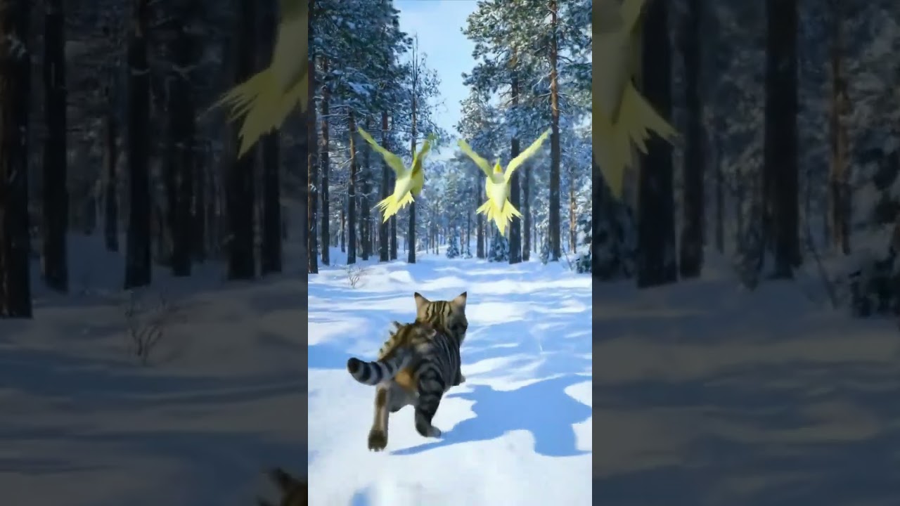 🥲🥲🥲#cat #birds #talkingparot #lovesigns #viral #viralvideo #highlights #song #coversong #love