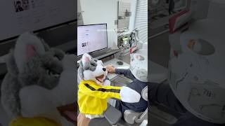 Whether Youre In It For The Laughs Or The Fun,This Furry Fighter Is Ready To Go.