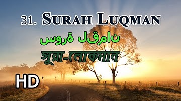Surah Luqman Full- سورة لقمان -সূরা লোকমান by Al Ghamdi (#31)