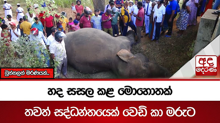 හද සසල කළ මොහොතක් - තවත් සද්ධන්තයෙක් වෙඩි කා මරුට - බුත්තලත් මරණයක්...