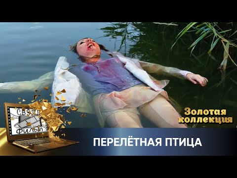 ПОЛУЧИЛА ПРЕДЛОЖЕНИЕ РУКИ И СЕРДЦА И СРАЗУ БЫЛА УБИТА! Психология преступления. Перелётная птица