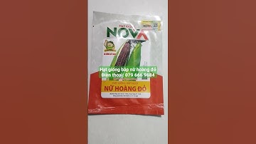 Bắp nữ hoàng đỏ là giống bắp tím ăn sống đặc biệt rất ngon và ngọt, năng suất cao của công ty Nova