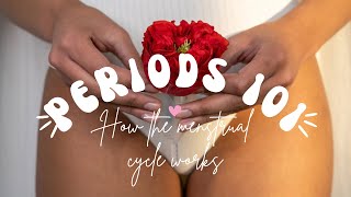 How periods work | Menstrual cycles 101