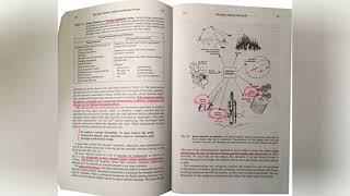 Space Mission Design: The Ultimate Guide (3rd Edition)