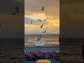 我上早八 MC药材_942