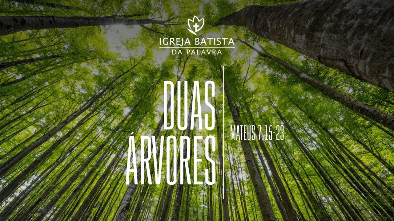 DUAS ÁRVORES - JONAS MADUREIRA