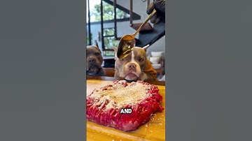 These puppies didn’t eat anything until this happened...