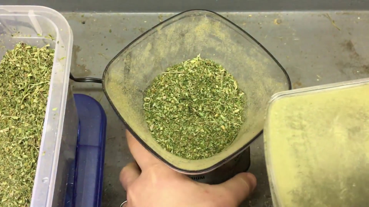 How To Grind CBD Hemp Grinding Smokable Hemp Flower YouTube