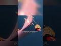 Sharks force BigWaterGuy to leave fish!#fishing#viral